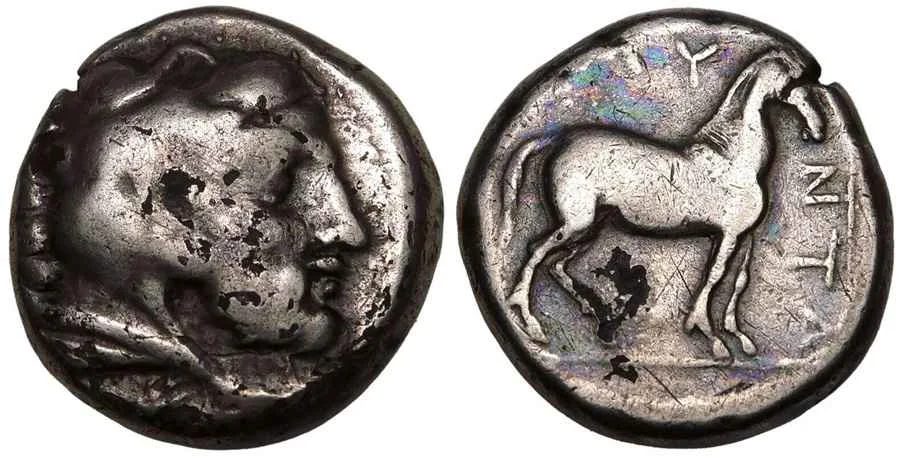 Agesilaos Antik Sikkeler Nümizmatik-AMY (1).webp