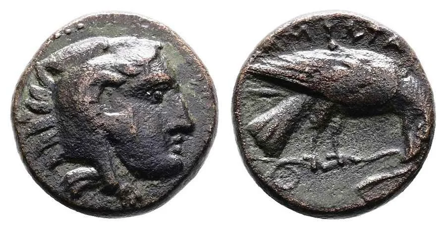 Agesilaos Antik Sikkeler Nümizmatik-AMY (6).webp