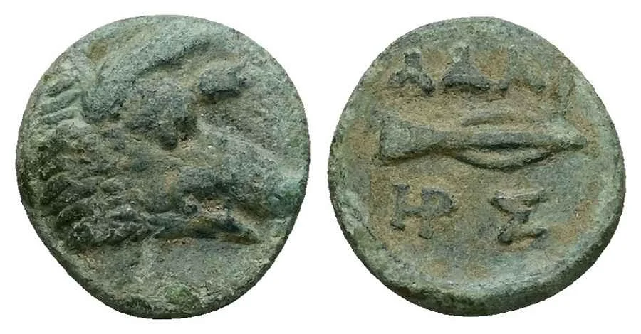 Agesilaos Antik Sikkeler Nümizmatik_ADAIOS (8).webp