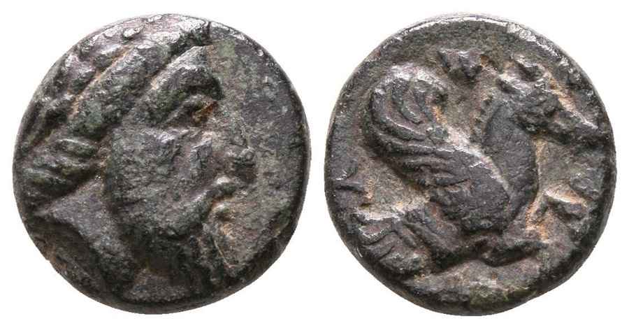 Agesilaos Antik Sikkeler Nümizmatik_ADRY (2).jpg