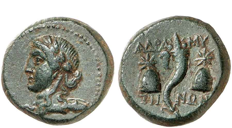 Agesilaos Antik Sikkeler Nümizmatik_ADRY (7).jpg