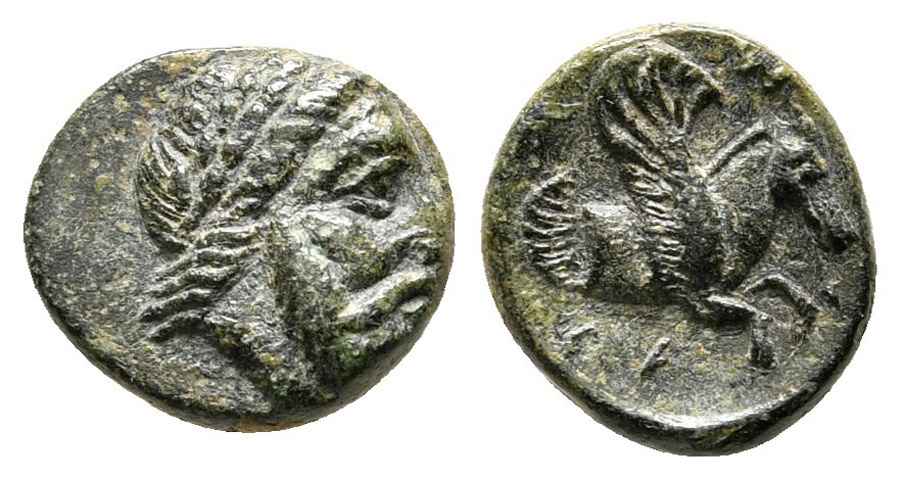 Agesilaos Antik Sikkeler Nümizmatik_ADRY (9).jpg