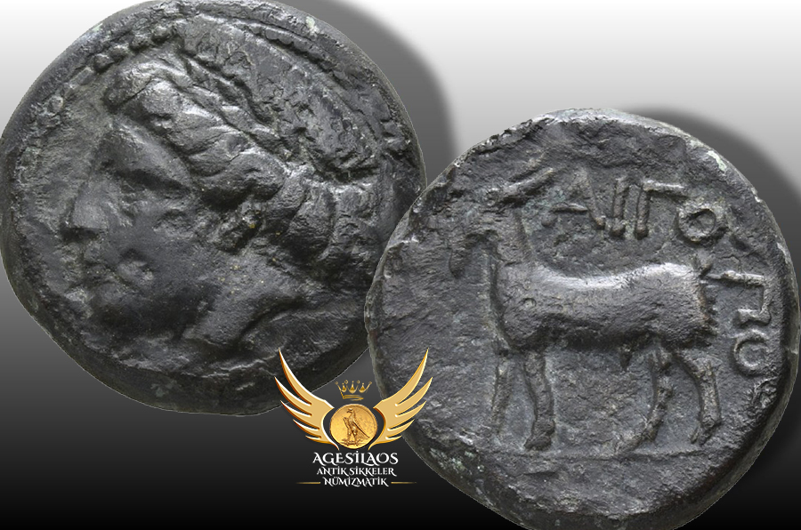 Agesilaos Antik Sikkeler Nümizmatik_AG.jpg