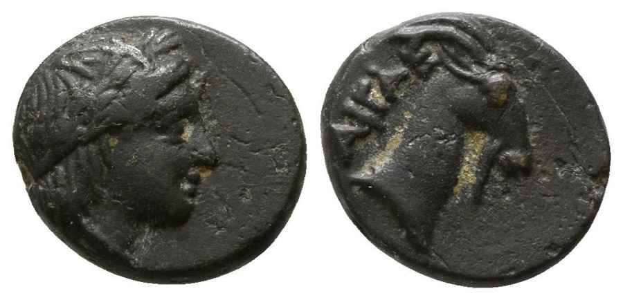 Agesilaos Antik Sikkeler Nümizmatik_AI (2).jpg