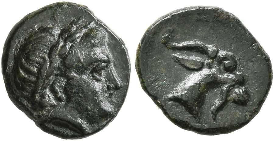 Agesilaos Antik Sikkeler Nümizmatik_AIGAI (1).jpg