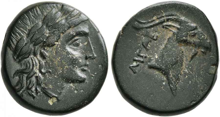 Agesilaos Antik Sikkeler Nümizmatik_AIGAI (10).jpg