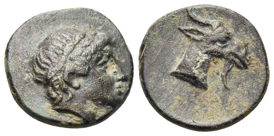 Agesilaos Antik Sikkeler Nümizmatik_AIGAI (9).jpg