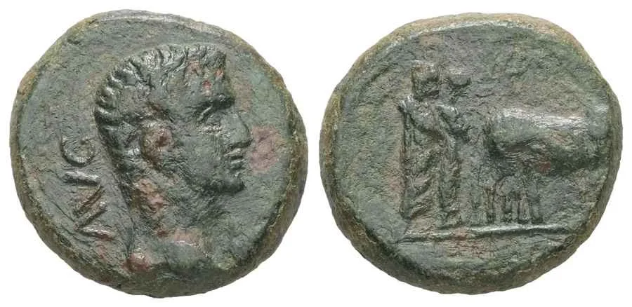  Agesilaos Antik Sikkeler Nümizmatik_ALEX_TR (20).webp