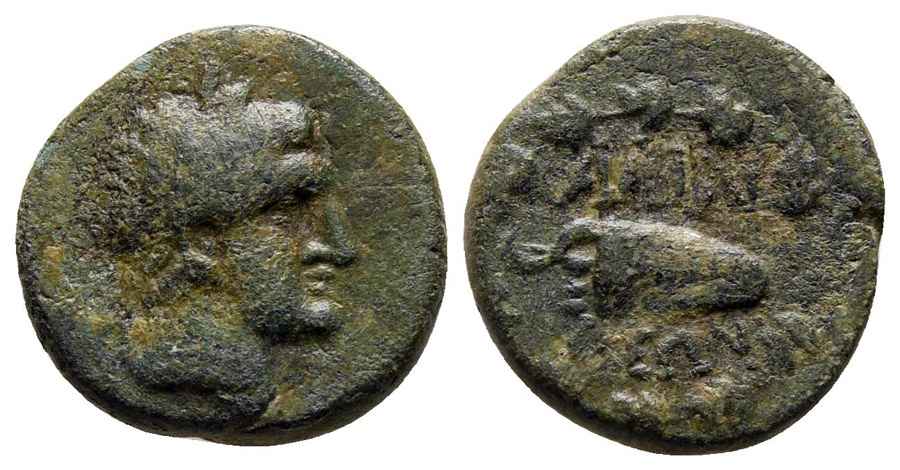 Agesilaos Antik Sikkeler Nümizmatik_ALINDA (1).jpg