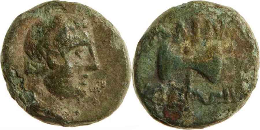 Agesilaos Antik Sikkeler Nümizmatik_ALINDA (12).jpg