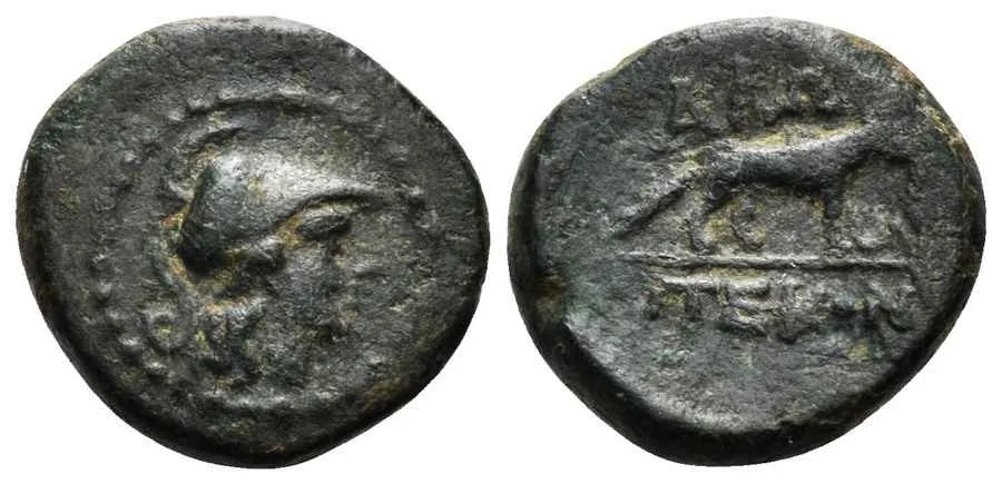 Agesilaos Antik Sikkeler Nümizmatik_alop (11).webp