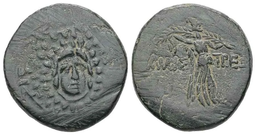 Agesilaos Antik Sikkeler Nümizmatik_AMASTR (10).webp