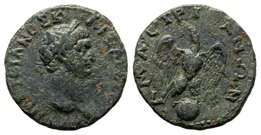 Agesilaos Antik Sikkeler Nümizmatik_AMASTR (4).webp