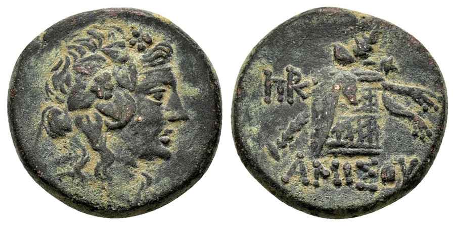 Agesilaos Antik Sikkeler Nümizmatik_AMISOY (3).jpg