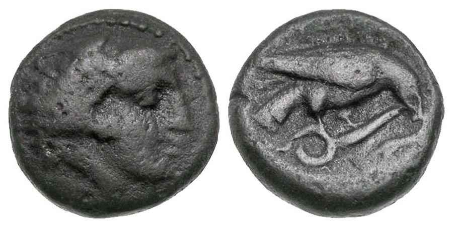 Agesilaos Antik Sikkeler Nümizmatik_AMY (3).jpg