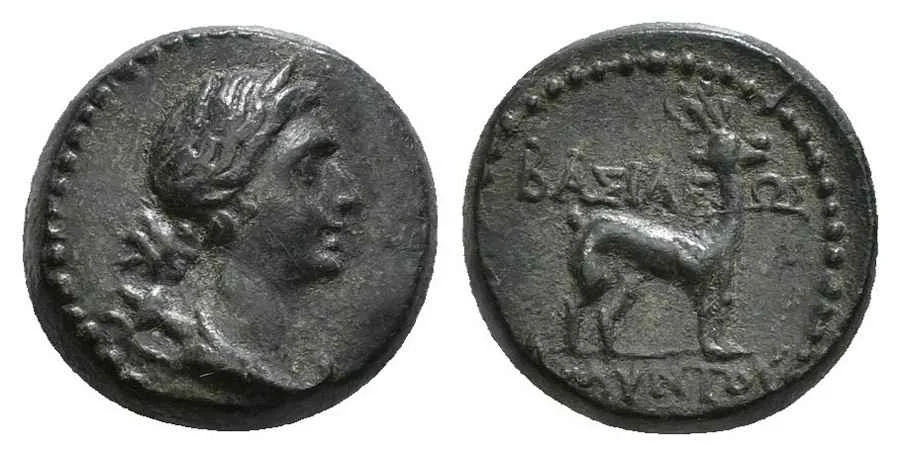 Agesilaos Antik Sikkeler Nümizmatik_AMYNTS (1).webp