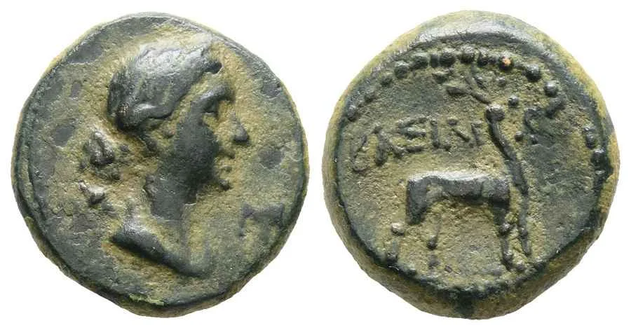 Agesilaos Antik Sikkeler Nümizmatik_AMYNTS (22).webp
