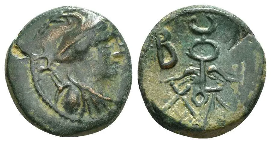 Agesilaos Antik Sikkeler Nümizmatik_AMYNTS (6).webp