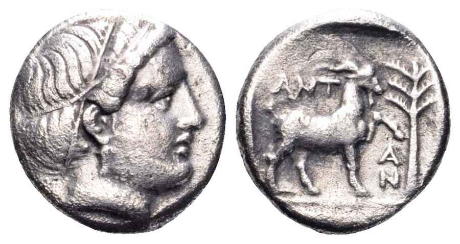 Agesilaos Antik Sikkeler Nümizmatik_ANT (6).jpg