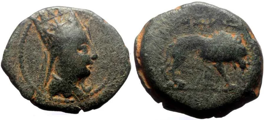 Agesilaos Antik Sikkeler Nümizmatik_ANT_TH (4).webp