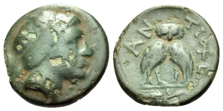 Agesilaos Antik Sikkeler Nümizmatik_ANT_THEOS (10).webp