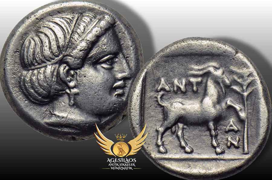 AGESİLAOS ANTİK SİKKELER NÜMİZMATİK_Antandros.jpg