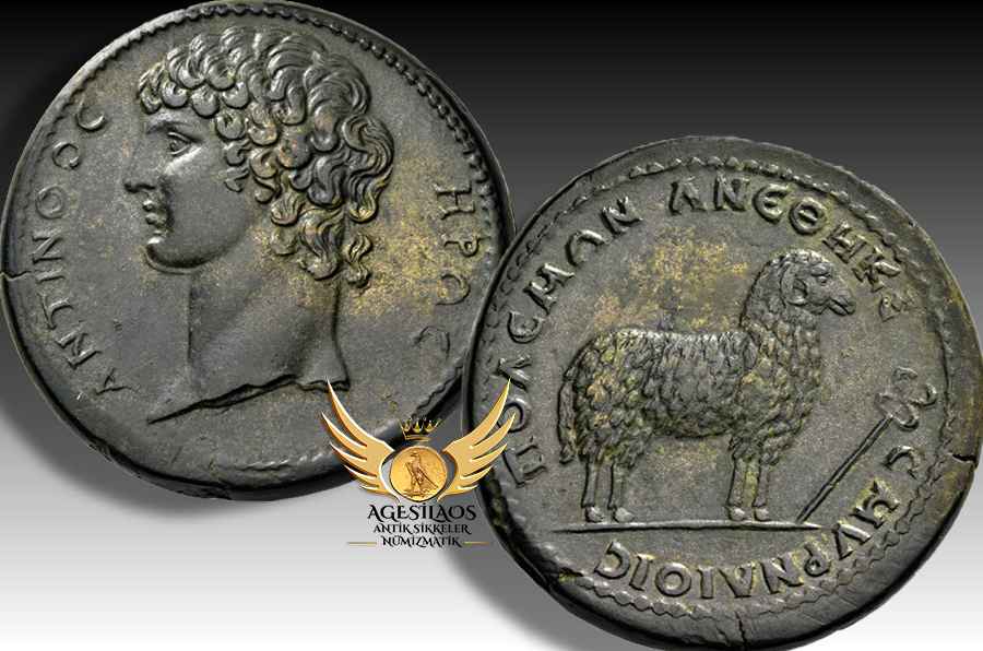 Agesilaos Antik Sikkeler Nümizmatik_ANTINOS.jpg