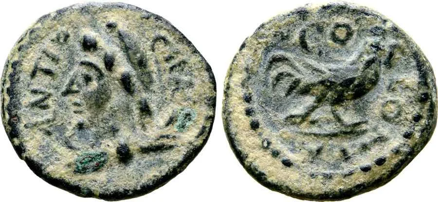 Agesilaos Antik Sikkeler Nümizmatik_ANTIOCH_PISIDIA (47).webp