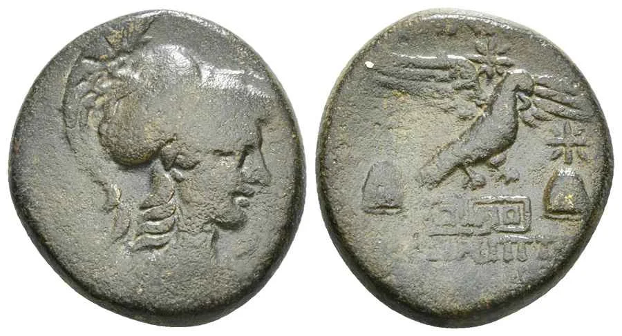 Agesilaos Antik Sikkeler Nümizmatik_AP (7).webp