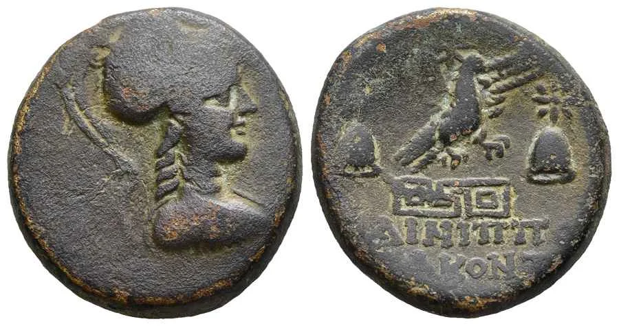 Agesilaos Antik Sikkeler Nümizmatik_APAMI (13).webp