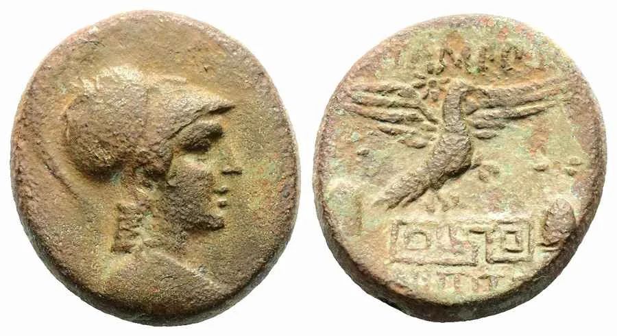 Agesilaos Antik Sikkeler Nümizmatik_APM (10).webp