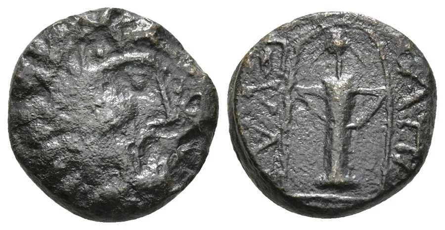 Agesilaos Antik Sikkeler Nümizmatik_APM (14).webp