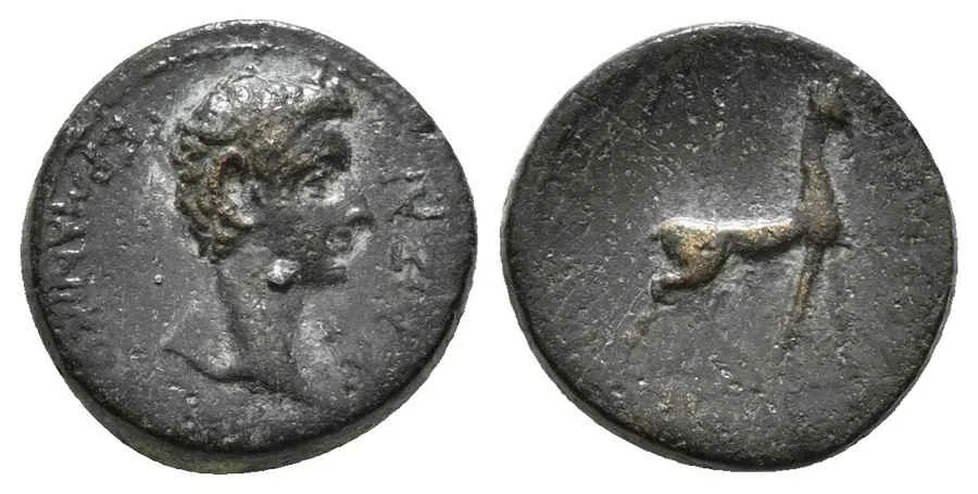 Agesilaos Antik Sikkeler Nümizmatik_APM (15).webp