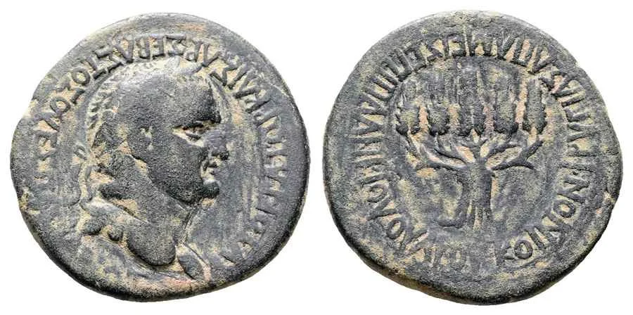 Agesilaos Antik Sikkeler Nümizmatik_APM (5).webp