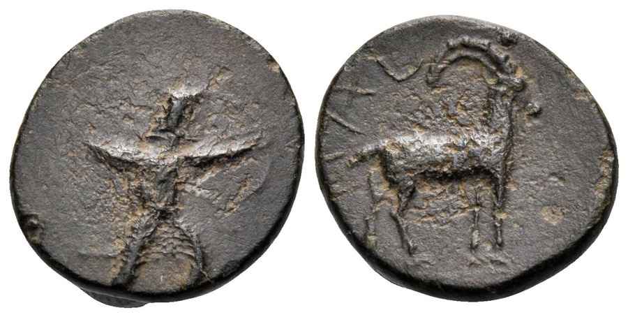 Agesilaos Antik Sikkeler Nümizmatik_AR_1 (14).jpg