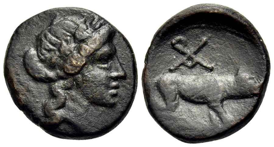 Agesilaos Antik Sikkeler Nümizmatik_ARG (10).jpg