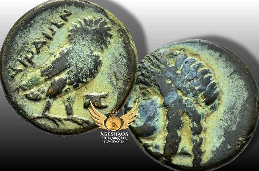 Agesilaos Antik Sikkeler Nümizmatik_ari.webp