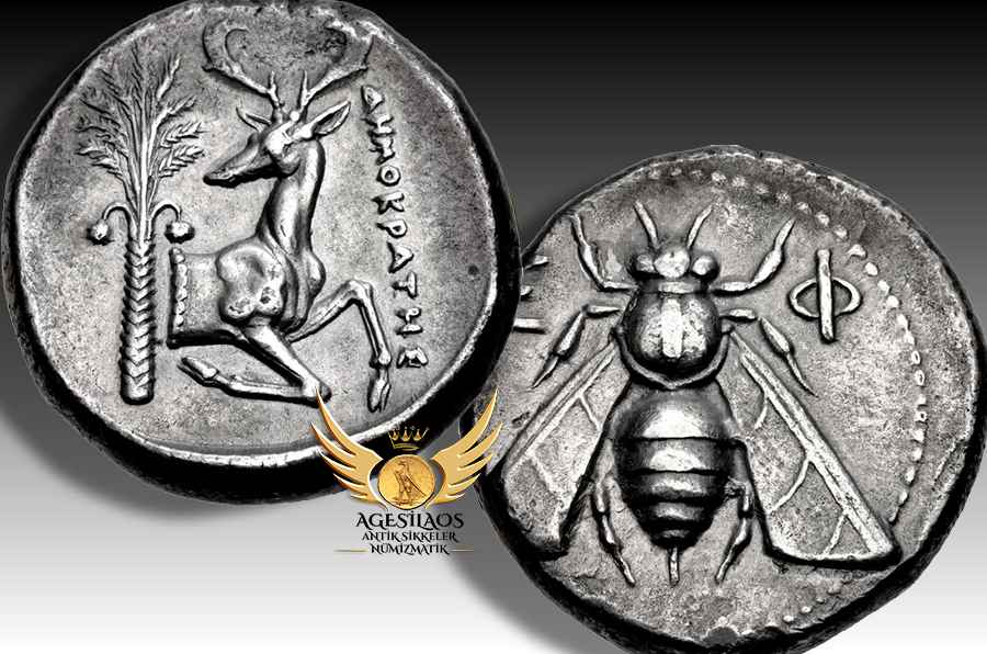 Agesilaos Antik Sikkeler Nümizmatik_ART.jpg
