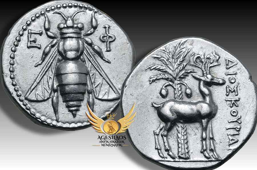 Agesilaos Antik Sikkeler Nümizmatik_ART.jpg