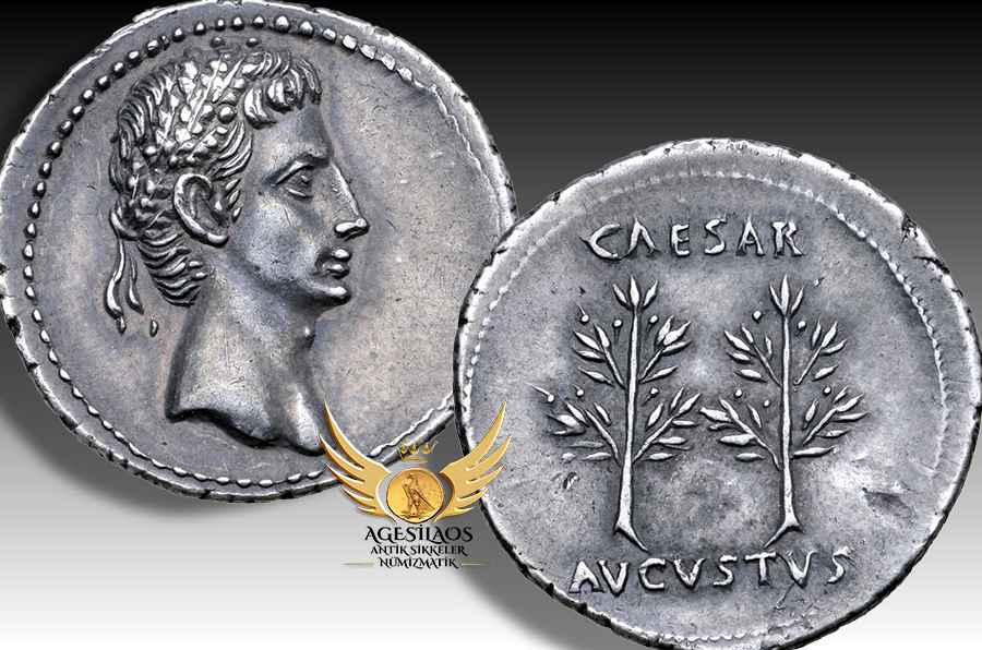 Agesilaos Antik Sikkeler Nümizmatik_AVGV.jpg