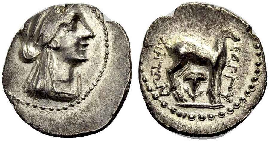 Agesilaos Antik Sikkeler Nümizmatik_BARG (6).jpg