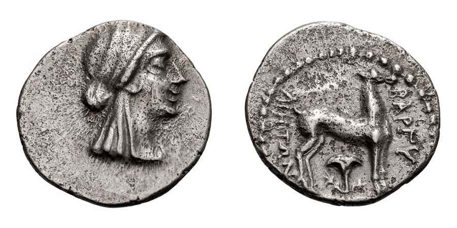 Agesilaos Antik Sikkeler Nümizmatik_BARG (9).jpg