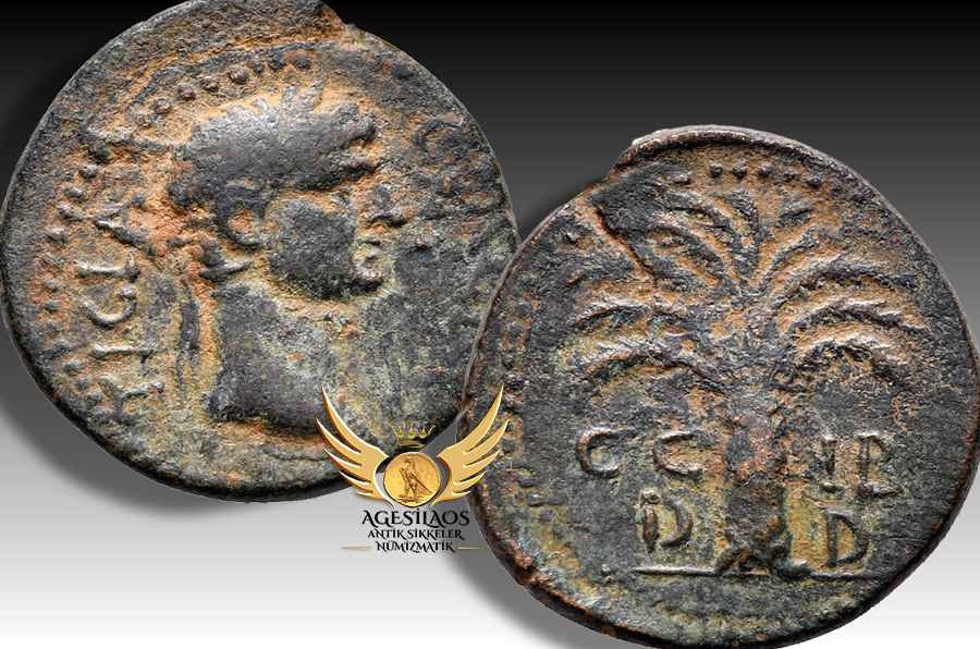 Agesilaos Antik Sikkeler Nümizmatik_BOUT.jpg