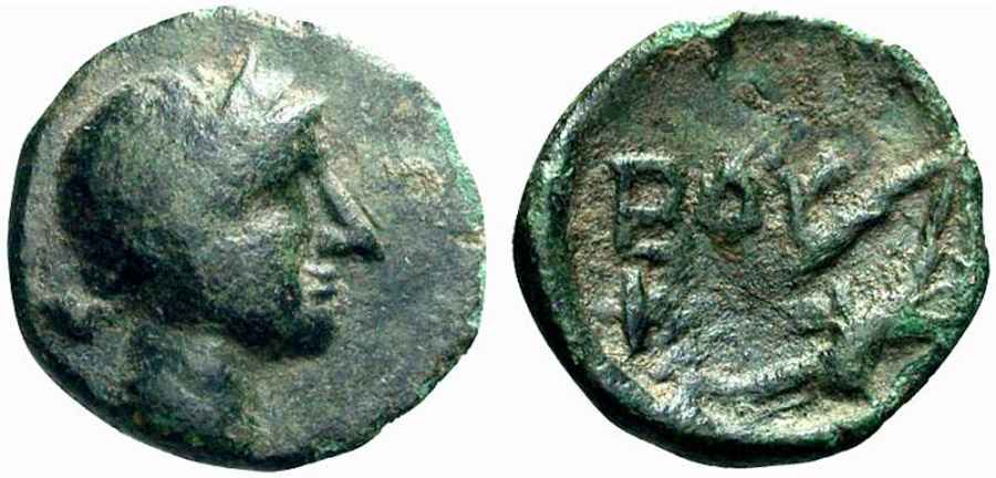 Agesilaos Antik Sikkeler Nümizmatik_BOY (2).jpg