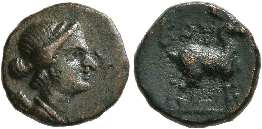 Agesilaos Antik Sikkeler Nümizmatik_BOY (4).jpg