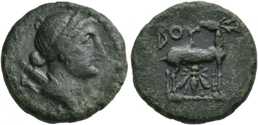 Agesilaos Antik Sikkeler Nümizmatik_BOY (7).jpg