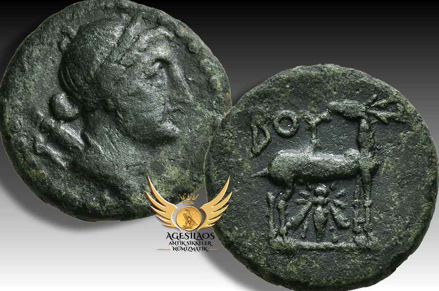 Agesilaos Antik Sikkeler Nümizmatik_bub.jpg