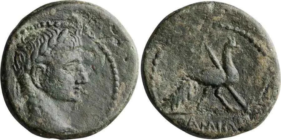 Agesilaos Antik Sikkeler Nümizmatik_CAMOS (8).webp