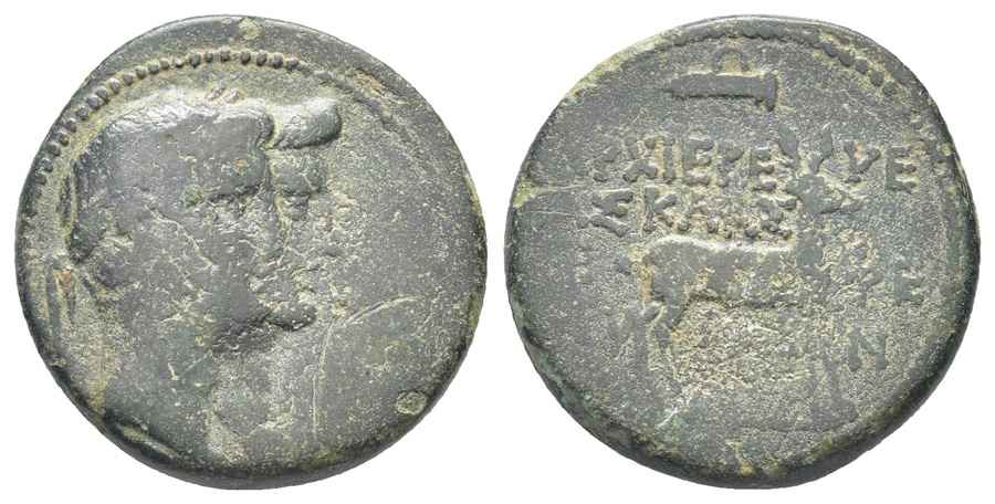 Agesilaos Antik Sikkeler Nümizmatik_EFS (2).jpg