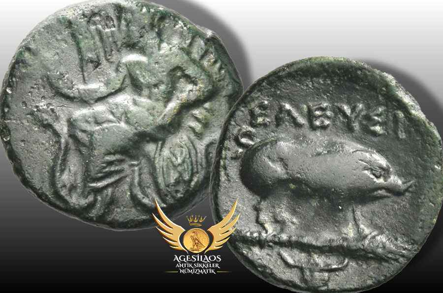 Agesilaos Antik Sikkeler Nümizmatik_EL.jpg